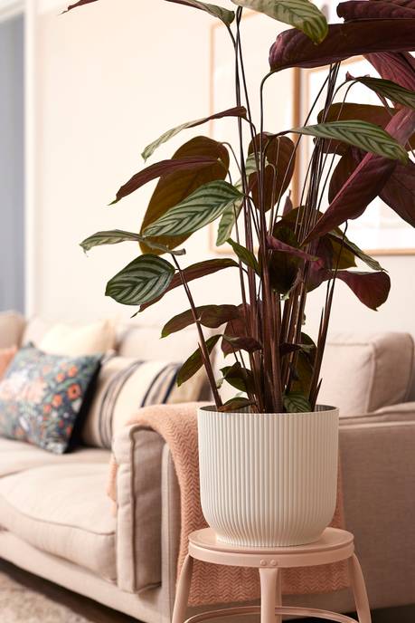 vibes fold round 30cm silky white